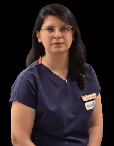 Dr. A. Hazal Ferbu